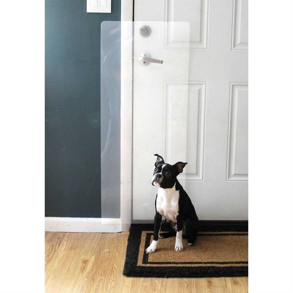 Door Scratch Shield A814