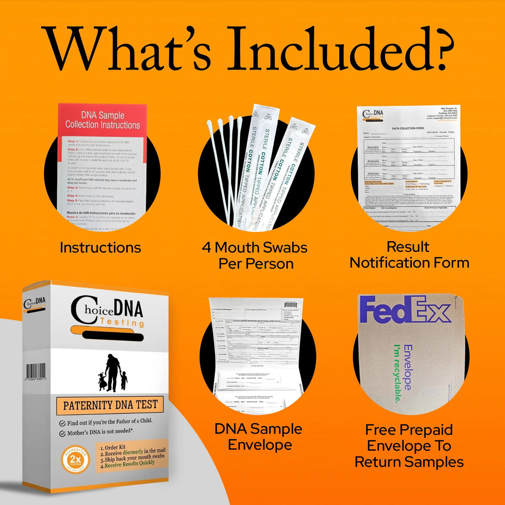 Home Paternity DNA Test Kit E392