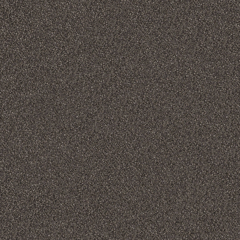 Carpet Tile Y22969