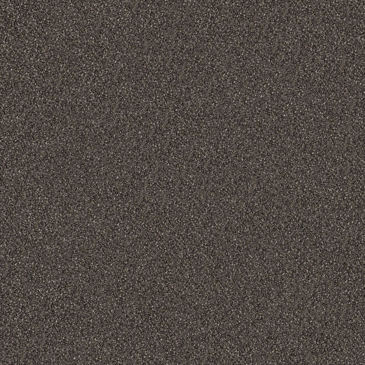 Carpet Tile Y22969