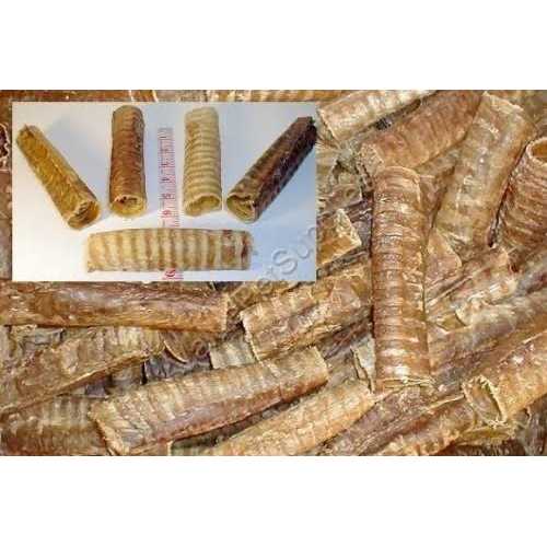 6 inch Beef Trachea X115778