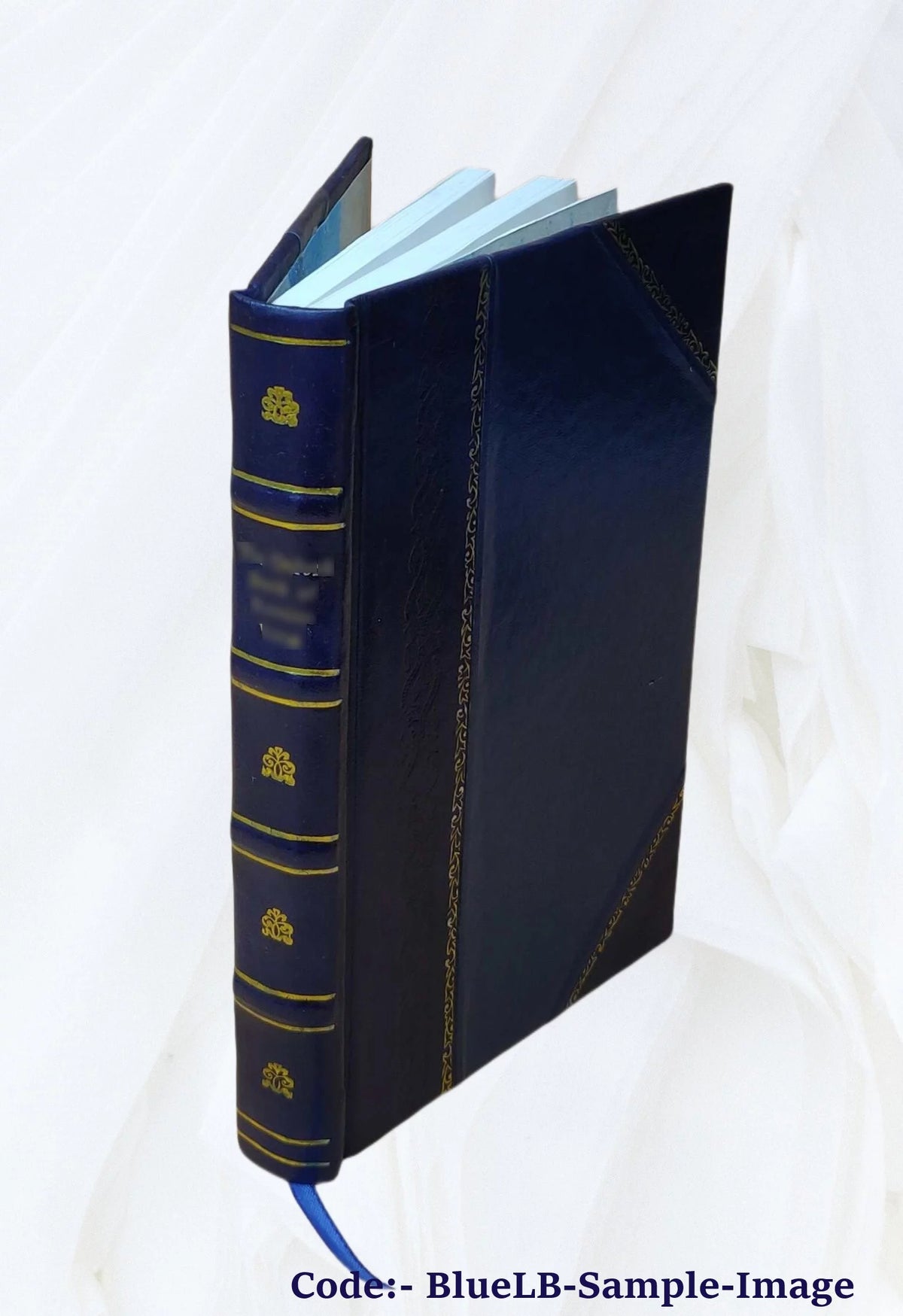 Proceedings of the American Electric Railway Accountants' Association Volume v.29 1925 Leather Bound T4495