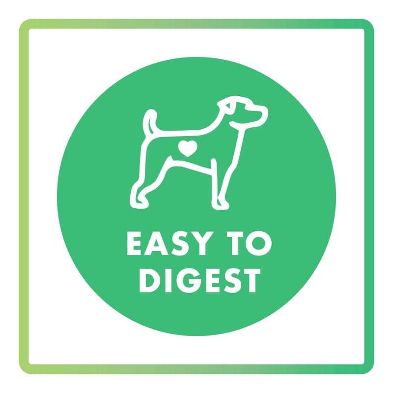 Dog Treat Assorted Flavors X1209