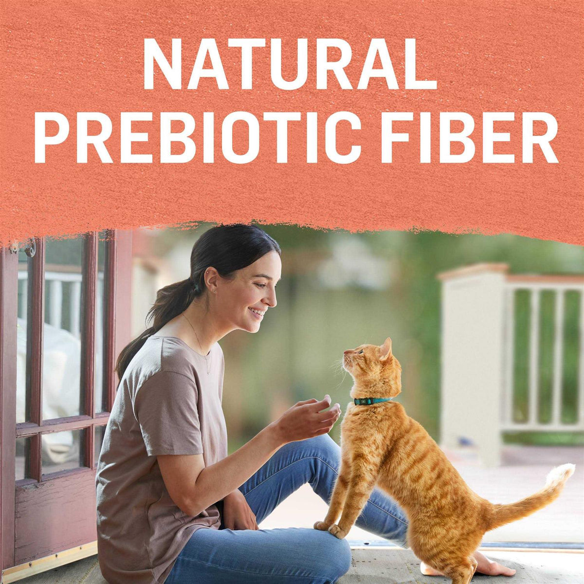 Grain Free Salmon & Sweet Potato Cat Food G89074