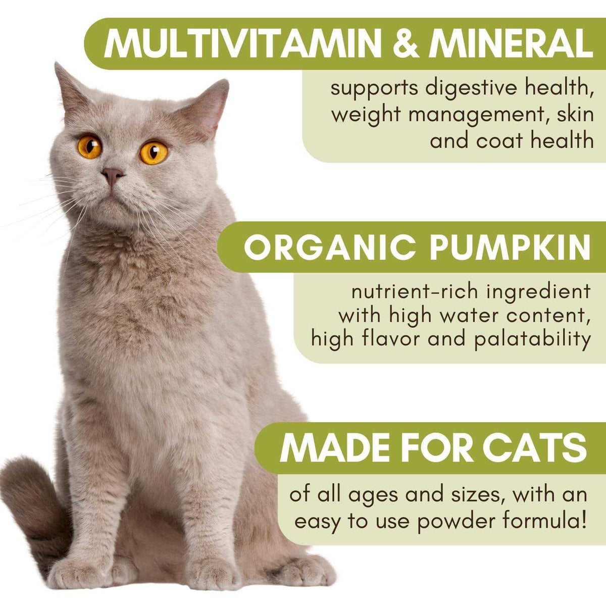 Organic Feline Complete Pumpkin Enhanced Powder Multivitamin for Cats W5657