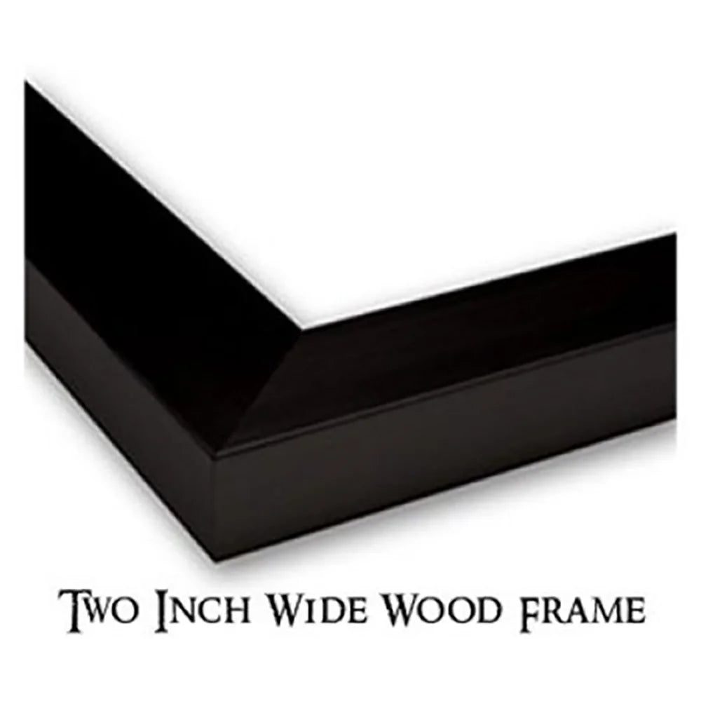 Black Modern Framed Museum Art Print M434