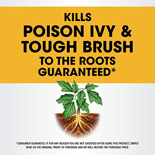 1.33 gal. Poison Ivy Plus Tough Brush Killer B248922