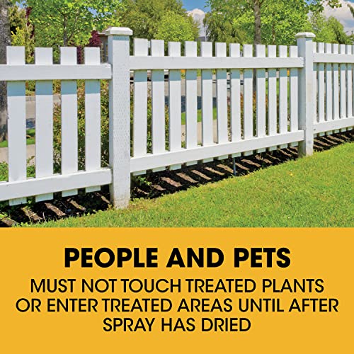1.33 gal. Poison Ivy Plus Tough Brush Killer B248922