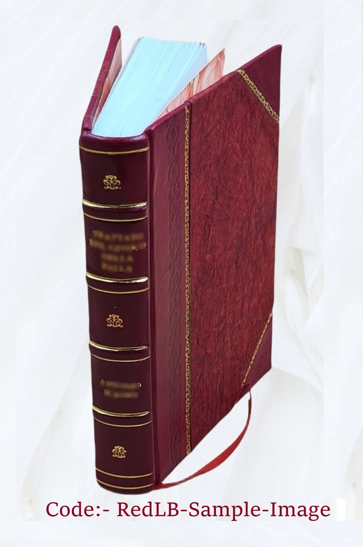 Proceedings of the American Electric Railway Accountants' Association Volume v.29 1925 Leather Bound T4495