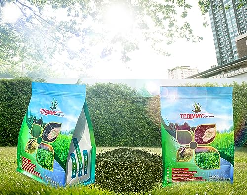 100% Tall Fescue Grass Seeds F687960