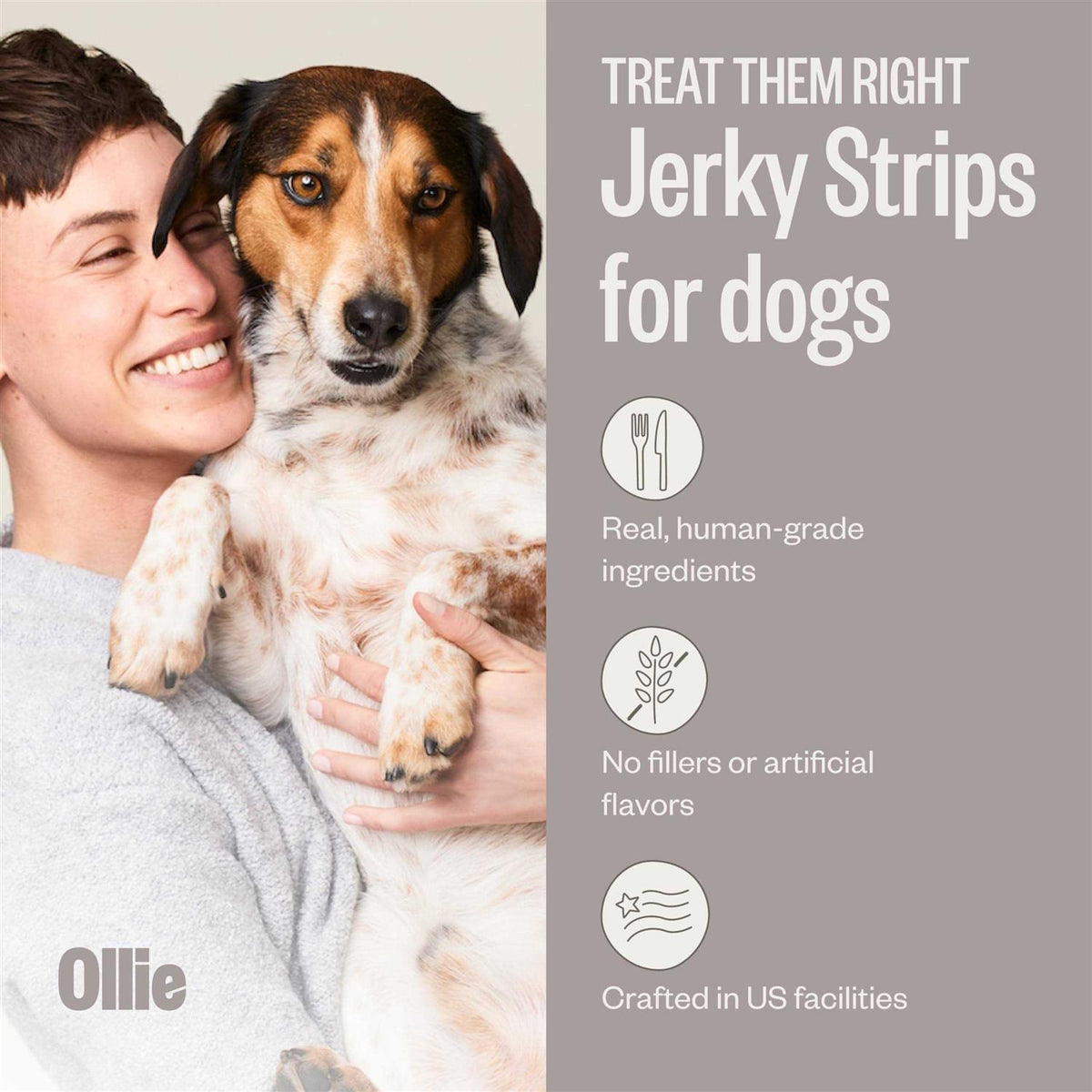 Beef and Sweet Potato Jerky Dog Treats E15381