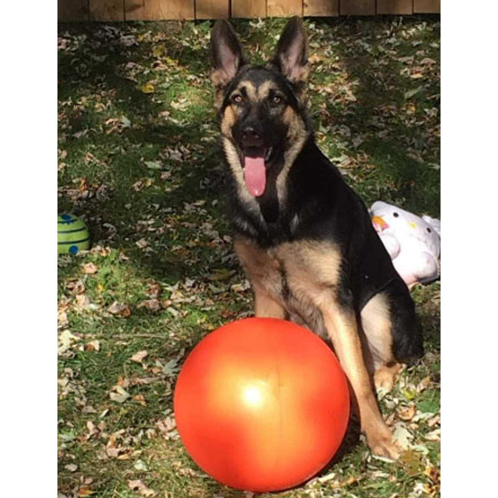 Virtually Indestructible Ball C884
