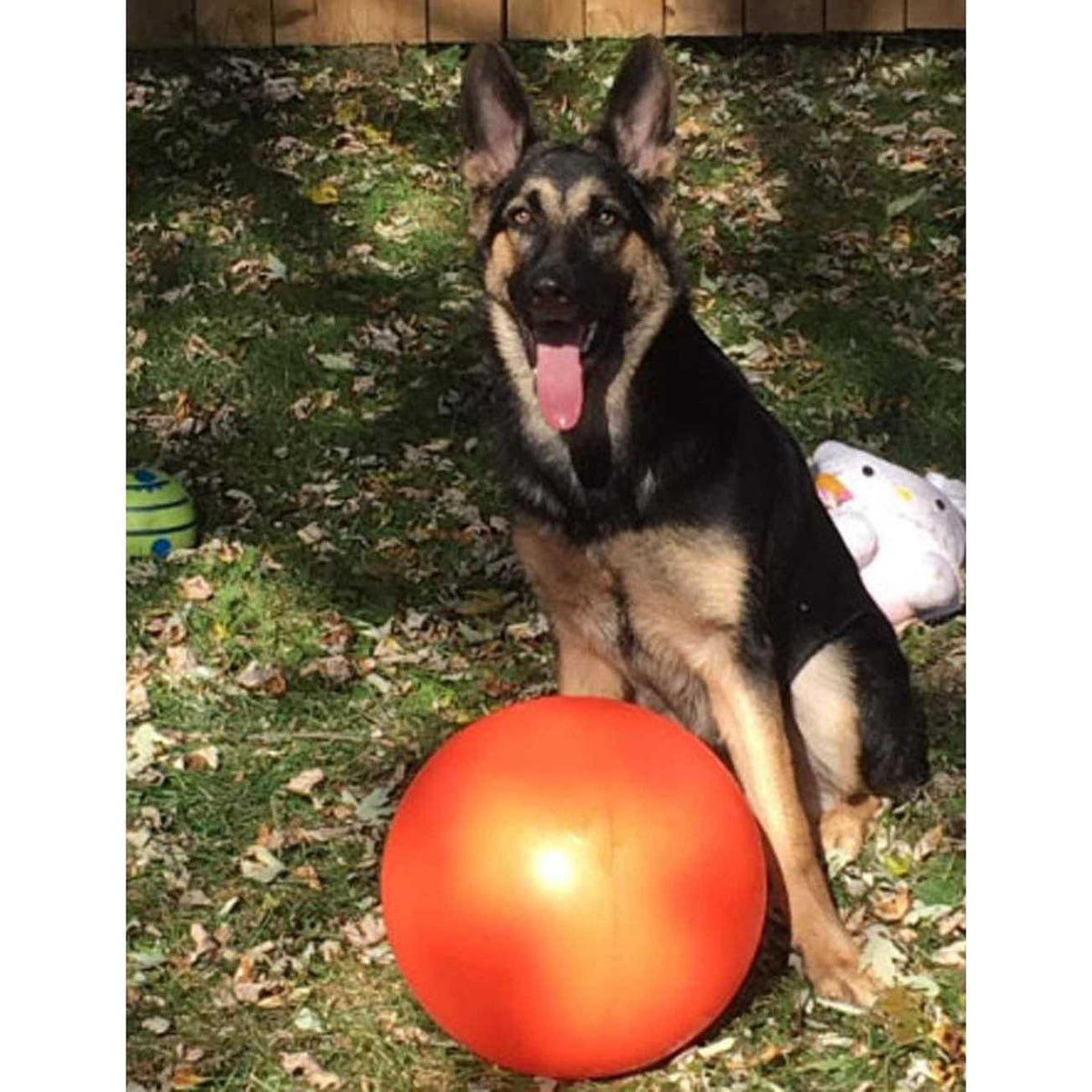 Virtually Indestructible Ball C884