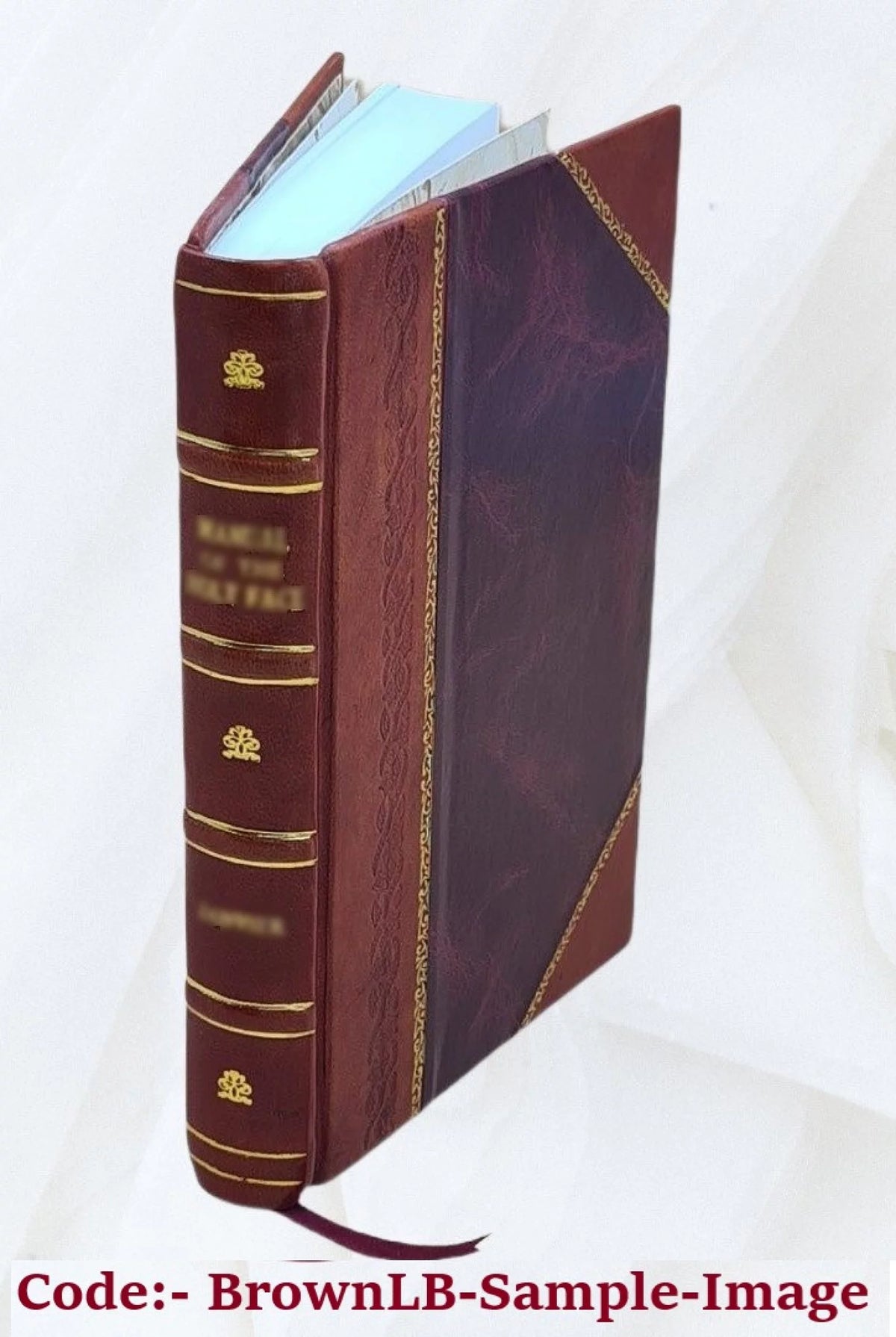 Proceedings of the American Electric Railway Accountants' Association Volume v.29 1925 Leather Bound T4495