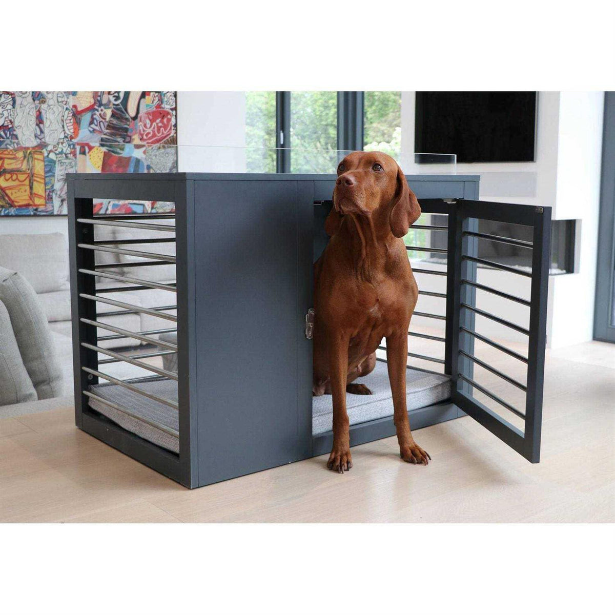 Dog Crate D436884
