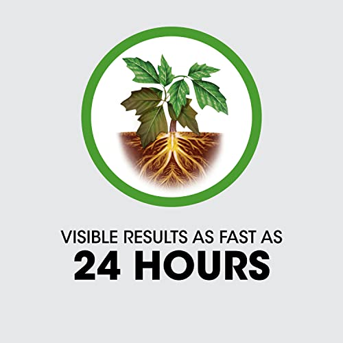 1.33 gal. Poison Ivy Plus Tough Brush Killer B248922