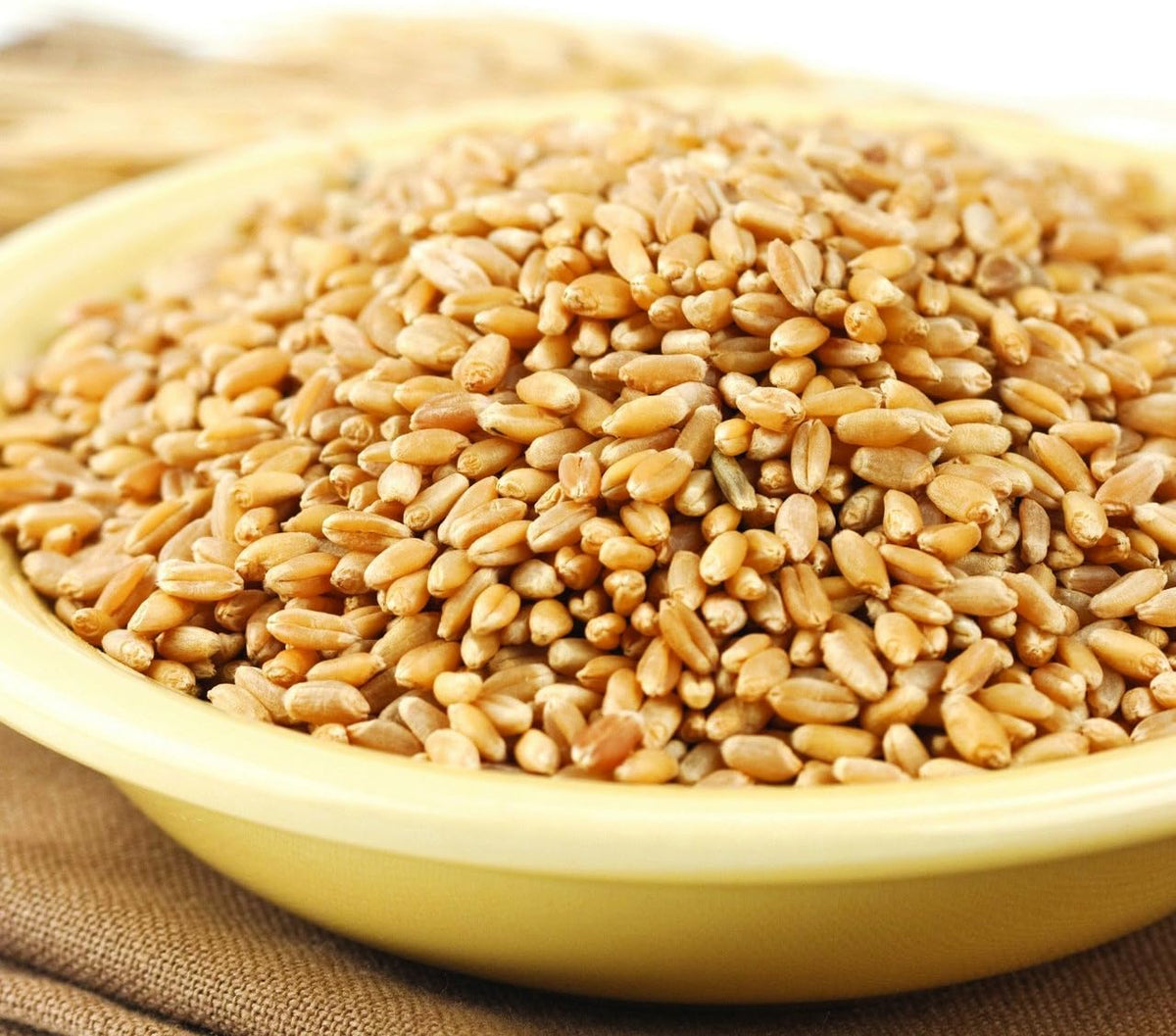 25 Lb. Bag Hard White Spring Wheat Berries I35308