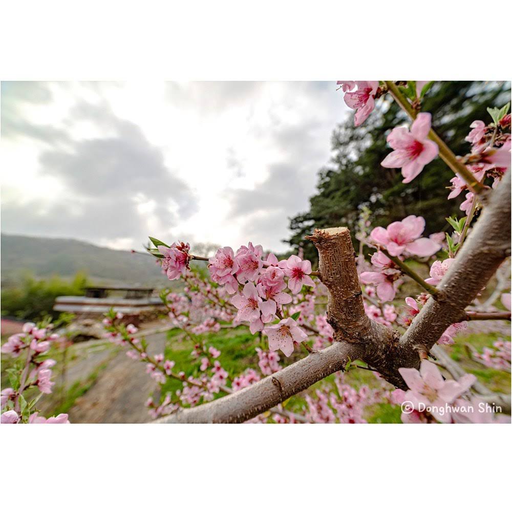 Fuji x 14mm f/2.8 Lens K7994