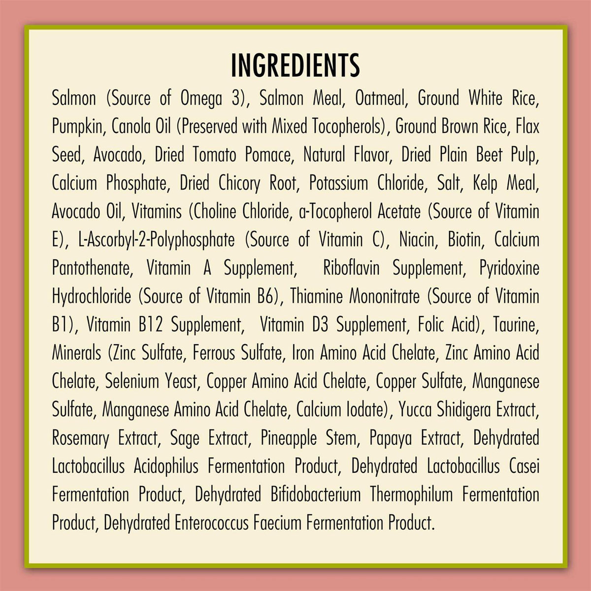 Salmon & Oatmeal Formula Dry Dog Food G642507