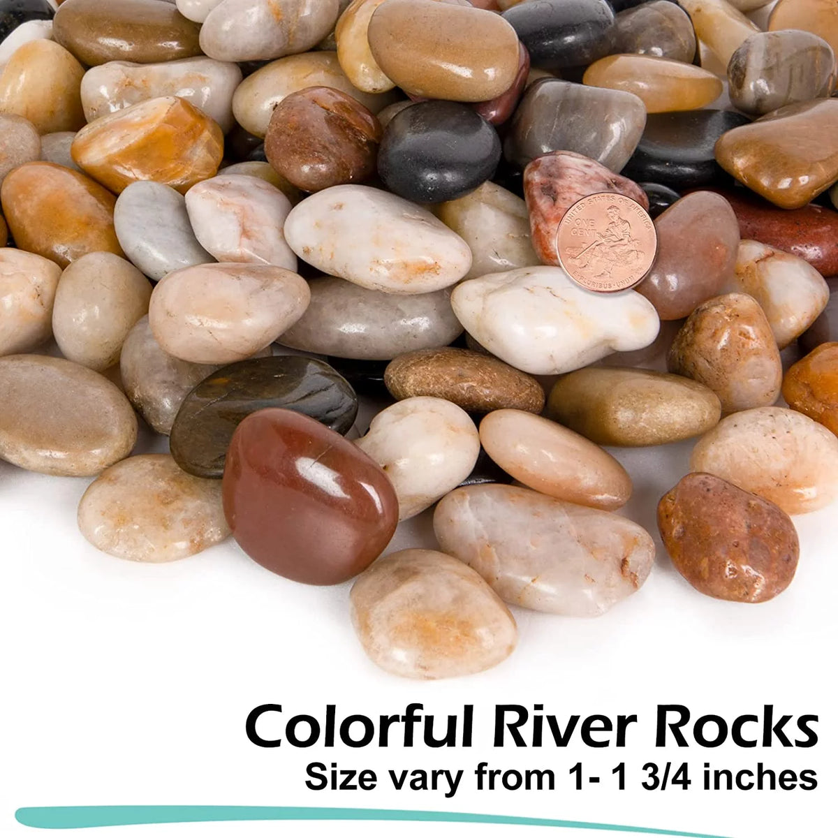 15 Pounds Polished River Rocks 1 to 1 3/4 Inch D351439