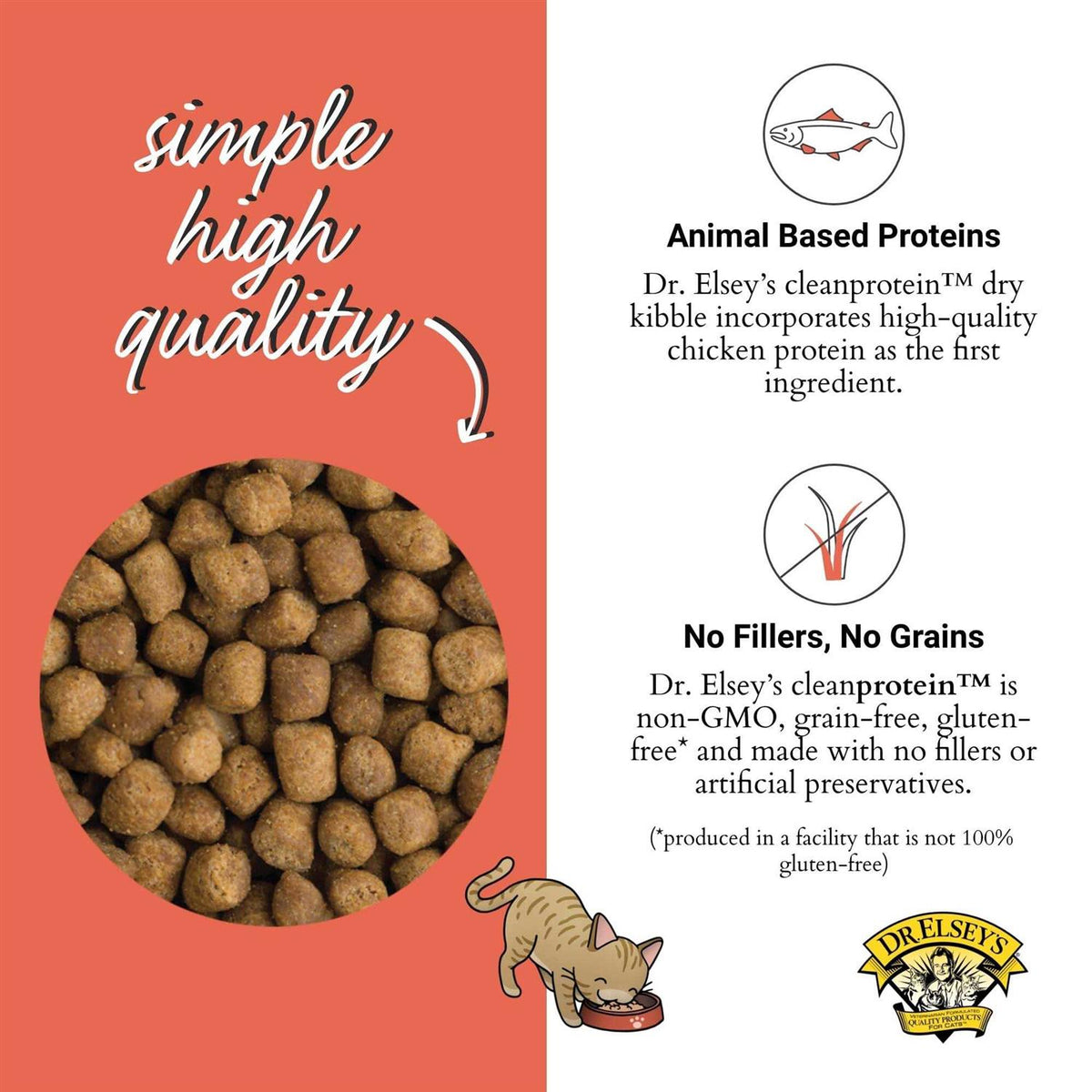 Salmon Dry Cat Food D94015