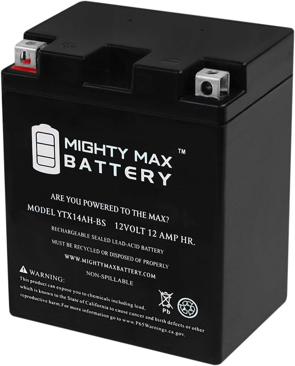 12 Volt 12AH 210 CCA SLA AGM Power Sport Battery Pack of 2 F473846