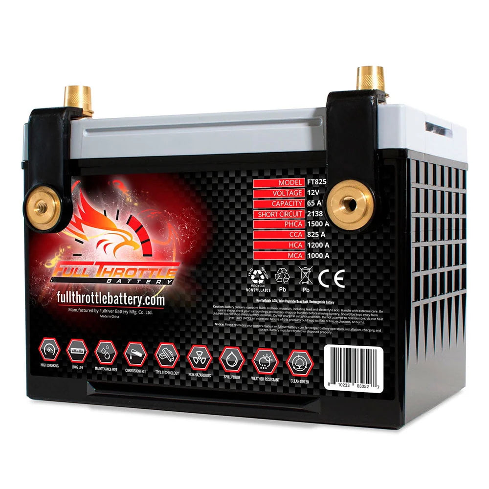 AGM Battery T172084