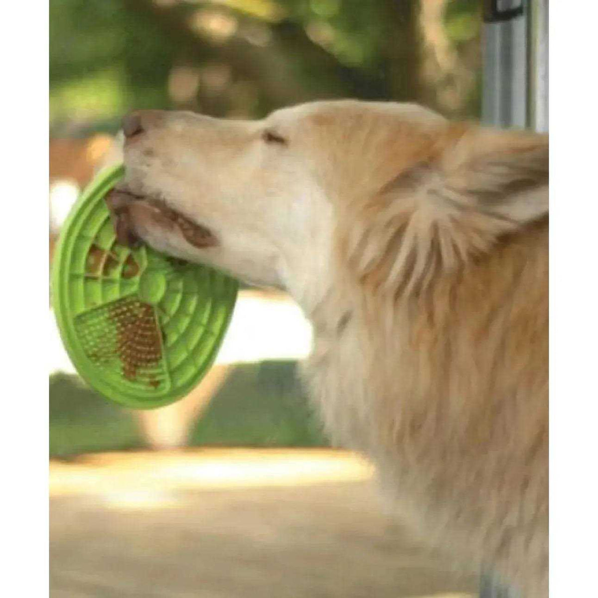 Green Licking Mat H62170
