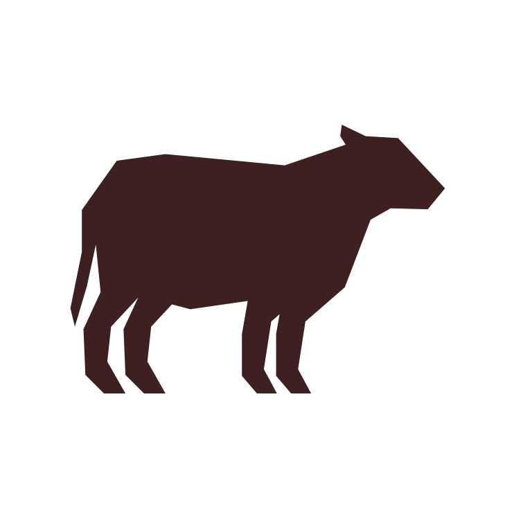 Freeze Dried Beef Dog Food F6194