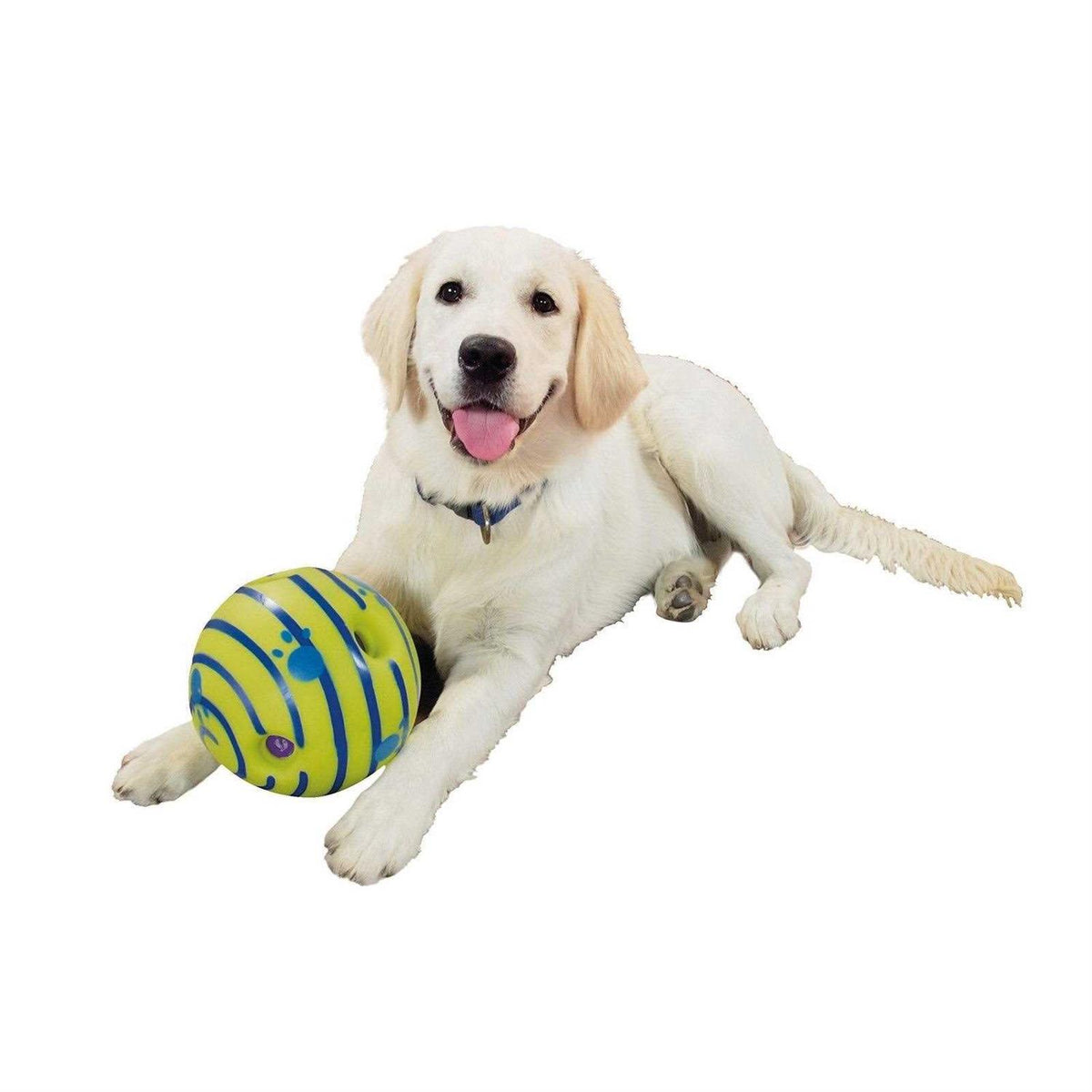 Dog Toy B775645