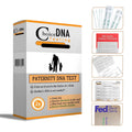 Home Paternity DNA Test Kit E392