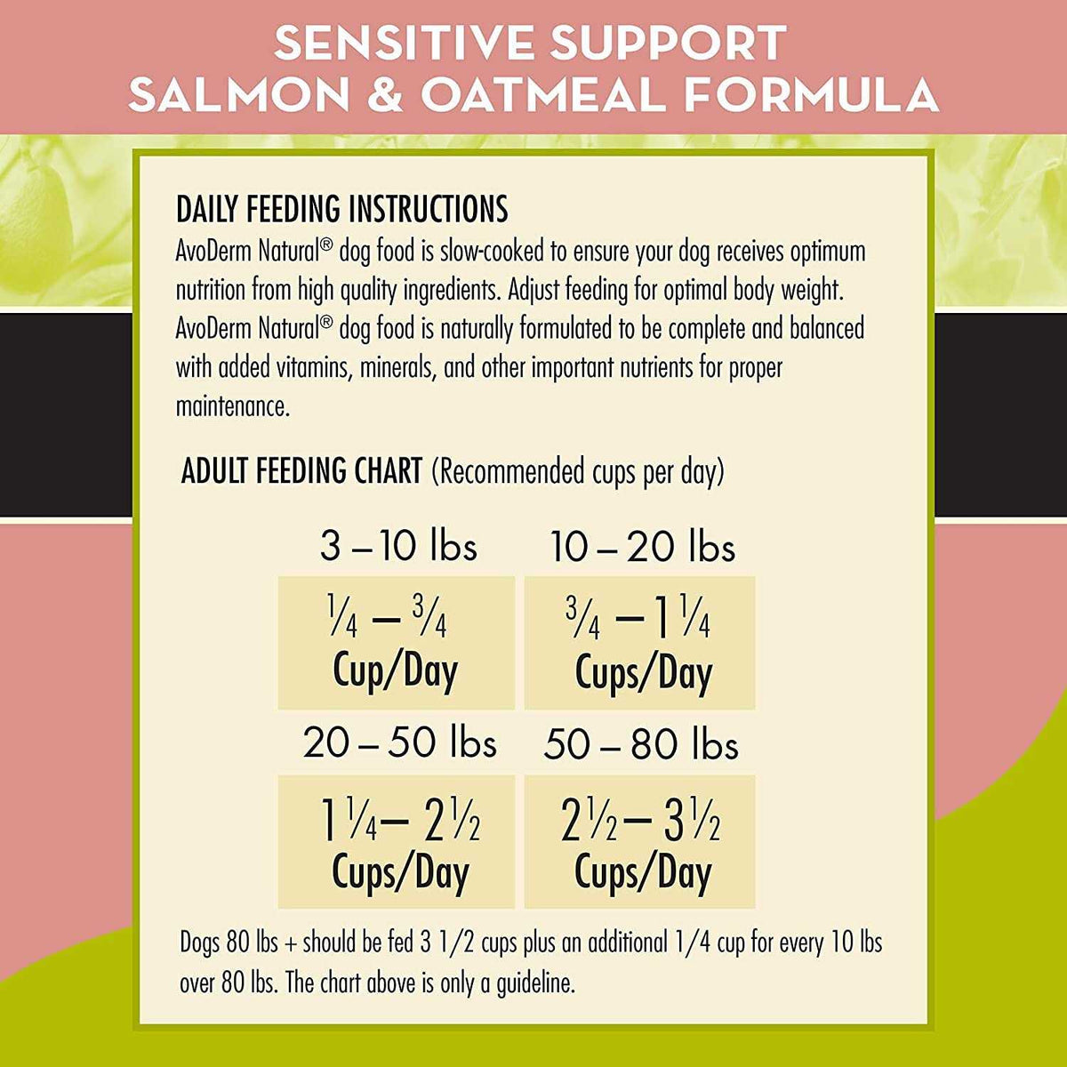 Salmon & Oatmeal Formula Dry Dog Food G642507