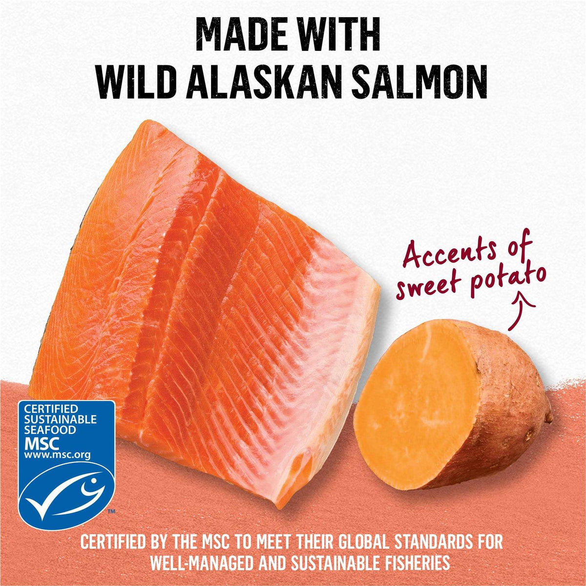 Grain Free Salmon & Sweet Potato Cat Food G89074