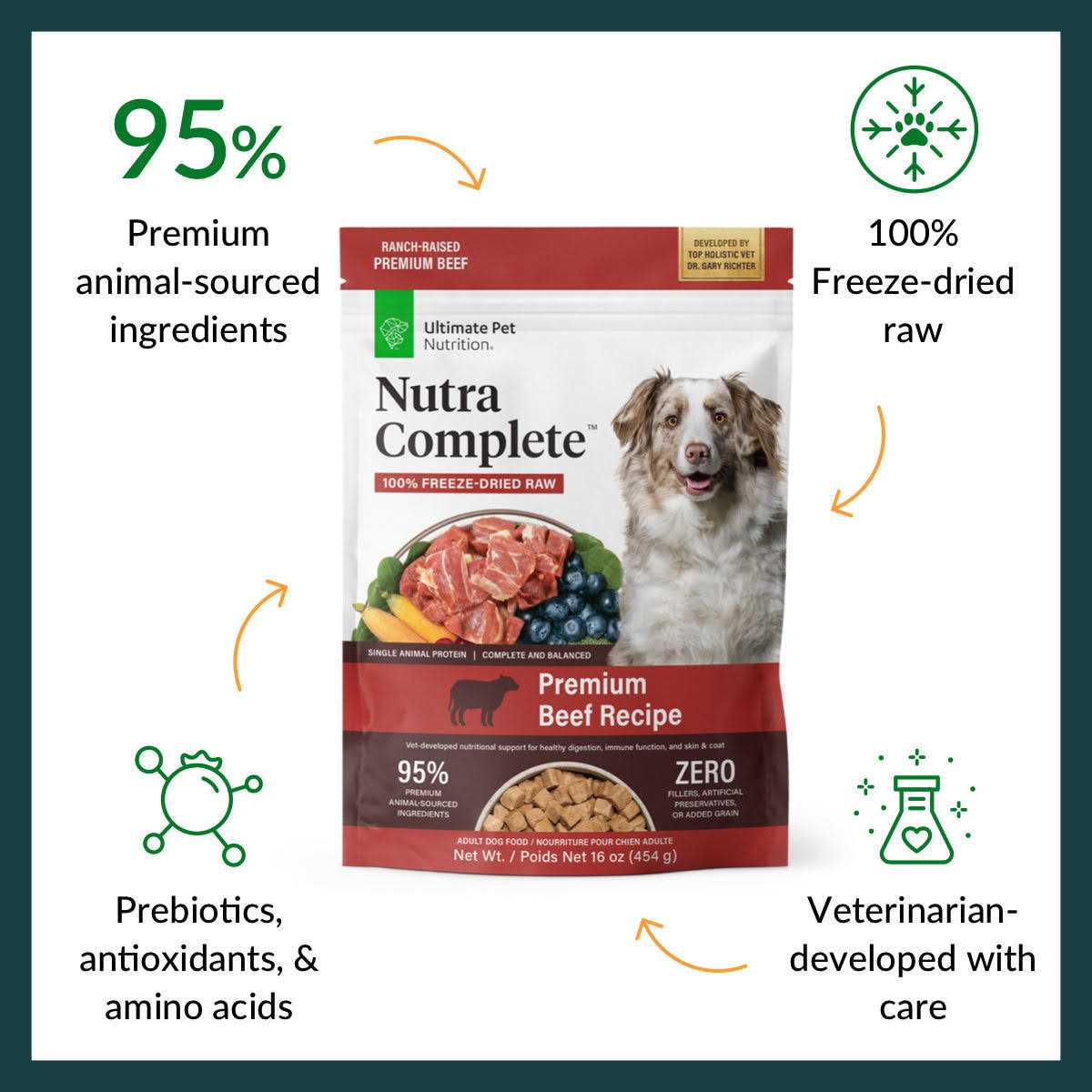 Freeze Dried Beef Dog Food F6194