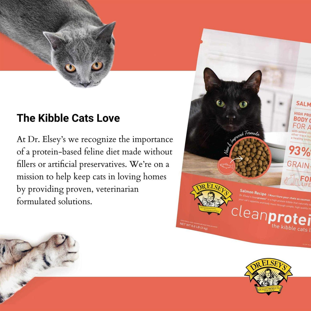 Salmon Dry Cat Food D94015