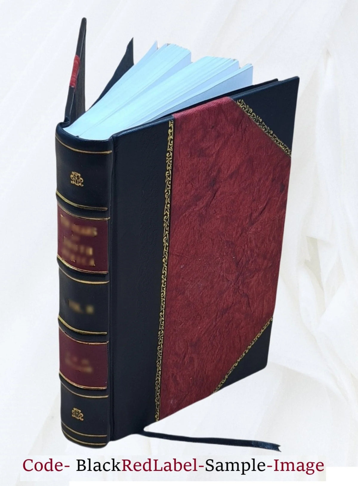 Proceedings of the American Electric Railway Accountants' Association Volume v.29 1925 Leather Bound T4495