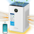 Air Purifier with H13 True HEPA P988224