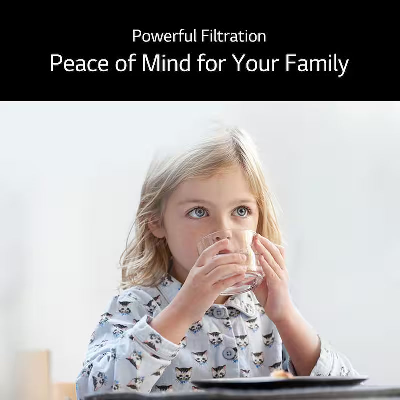 Refrigerator Water Filter D9455